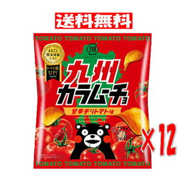 【6310】☆9【送料無料】湖池屋 九州カラムーチョ 甘辛チリトマト味 55g×12袋(1ケース)コイケヤ 九州 熊本 くまモン ポテチ ポテトチップス 地域限定 お土産※北海道・東北・信越・沖縄・離島は追加送料あり※