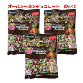 チーリン製菓 オールシーズンチョコレート 80g×3袋 お菓子帳 個包装 駄菓子 景品 業務用 チョコ 夏でも溶けにくい シュガーコーティング イベント 子供会 詰め合わせ プレゼント ゲームセンター カリカリチョコ プレゼント お試し ポイント消化 送料無料☆4【6310】
