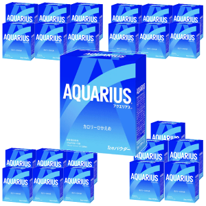 ANGAX pE_[ 1Lp(48g)@5ܓ×24i120ܓj܂1 RJER[ @AQUARIUS   8y6221z