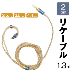 �C���z���p ���P�[�u�� 2pin ���⓺�����҂�16�c 2.5mm 3.5mm 4.4mm ���񂵂��ǂ� �������� �^�b�`�m�C�Y���Ȃ� �����P�[�u���ƌ���