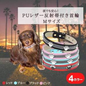 ˑѕt PUU[ p MTCY tN^[ ^p ^p  TCY߉\ ybgpi hbOJ[ ybgObY U