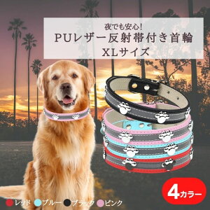 ˑѕt PUU[ p XLTCY tN^[ ^p ^p TCY߉\ ybgpi hbOJ[ ybgObY U