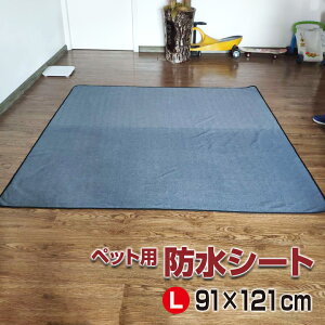 ybgphV[g LTCY 91×121 ~ }bg z t[X  lR  L  Yh~ 傫 Q[W T[N 3d\ ObY pi