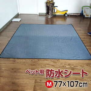 ybgphV[g MTCY 77×107 ~ }bg z t[X  lR  L  Yh~ 傫 Q[W T[N 3d\ ObY pi