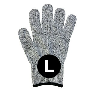 hn [bpKiEN388 hnx5 ϐؑnO[u nsȋ h AEghAɂIXX