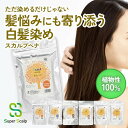 スカルプヘナ 白髪染め トリートメント 選べる カラー 各100g 男女兼用 頭皮 優しい 染髪 ヘナカラー ヘナ100% ヘアカラー ヘナパウダー オレンジ ブラウン ライトブラウン インディゴ アムラトリートメント ミックスハーブシャンプー スーパースカルプ superscalp