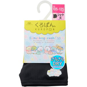 Ԍ10%OFF yC̉{zς ݂R炵 炳DRY LbY V[g z W