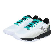 ミズノ（MIZUNO）（メンズ、レディース）クレー・砂入り人工芝コート用 テニスシューズ ウエーブエンフォ…