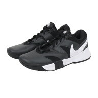 ナイキ（NIKE）（レディース）オムニクレーコート用 テニスシューズ コート ライト 4 CLY FJ2318-001
