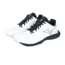 ミズノ（MIZUNO）（メンズ、レディース）バドミントンシューズ ウエーブファング WAVE FANG EL2 71GA242302