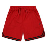 ジョーダン（JORDAN）（キッズ）バスケットボールウェア ジュニア テーピング メッシュショーツ 95D688-R78
