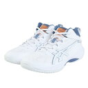 アシックス（ASICS）（メンズ、レディース）バスケットシューズ バッシュ ゲルフープ GELHOOP V17 1063A096.102