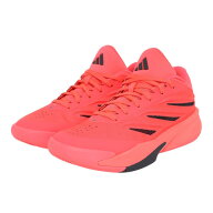 アディダス（adidas）（メンズ）バスケットシューズ バッシュ クレイジー エナジー JAPAN OQZ02-LA5638