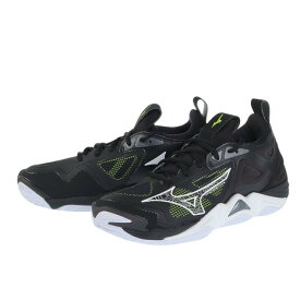ミズノ（MIZUNO）（メンズ、レディース）バレーボールシューズ ウエーブモーメンタム3 V1GA2312
