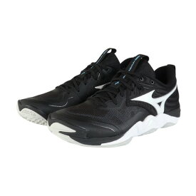 ミズノ（MIZUNO）（メンズ、レディース）バレーボールシューズ ウエーブモーメンタム エリート WAVE MOMENTUM ELITE V1GA251254