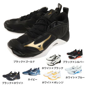 ミズノ（MIZUNO）（メンズ、レディース）バレーボールシューズ ウエーブモーメンタム2 V1GA2112