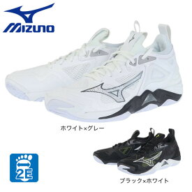 ミズノ（MIZUNO）（メンズ、レディース）バレーボールシューズ ウエーブモーメンタム3 V1GA2312