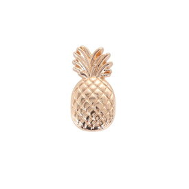 クロックス（crocs）（メンズ、レディース、キッズ）ジビッツチャーム Gold Pineapple 10011124
