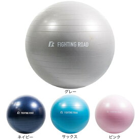 ファイティングロード Co.Ltd（FIGHTING ROAD CO.LTD）（メンズ、レディース）ジムボール 65cm FR23CMS0049