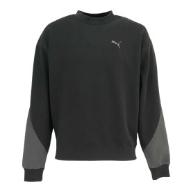 【10%OFFクーポン対象！12/11まで】プーマ（PUMA）（メンズ）CORE HERITAGE クルー スウェット 690137 01 BLK