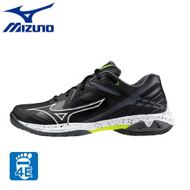 ミズノ（MIZUNO）（メンズ、レディース）バドミントンシューズ ウエーブクロー3 WIDE 71GA244440