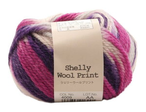 A(Motohiro) XL[ ҂ݖю VF[E[vg (5ʃZbg) Col.4009