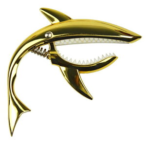 ImelodM^[J|TJ[|AAR[XeBbNGLM^[pAG肪悭AtbgȂ̃oYđϋv̂(S[h)