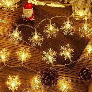 GOODCHI フェアリーライト電飾led イルミネーションライト 可愛くて小さなボール 電池式 ワイヤーライト 6M40個 LEDライト 防水 クリスマスオーナメント 結婚式 誕生日 キャンプ用 パーティー電