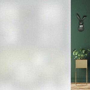 DIFIT KXډBtB ډBV[g  tB KXV[g œ\  fMՔM Ih~ uvJbg  C  Uh~ (44.3X200CM)