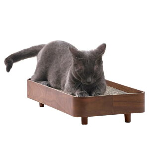 ACXI[}(IRIS OHYAMA) ܂Ƃ P[X CeA vCEbh PW-TC50 EH[ibg