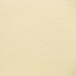 G.Lalo FWFEhEtX  A5 50 d 100g/[g AC{[ gl11416