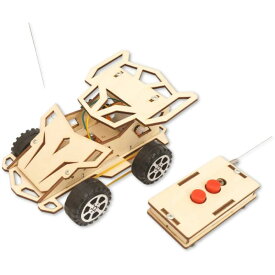 Apricity 工作キット 手作りキット 小学生が楽しめる 日本語説明書 作り方動画付き (ラジコン)