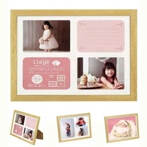 �n�N�o HAKUBA �t�H�g�t���[�� ���G�[�W�� �V�����e A4 ���ʃ^�C�v �ؐ� �i�`������ FWLGC-NTA4T