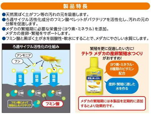 eg (Tetra) eg _J̓VR\C 2.3L ꍻ ANAE   Mы 