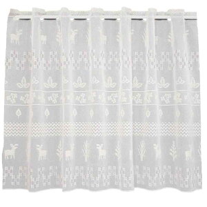 A[G(Arie) JtFJ[e { Y ȍ VRf k fUC 킢 XF x[W 100×70cm