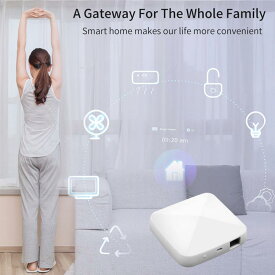 スマートホーム ゲートウェイ コントロール ホスト ABS 銅 タッチ 起動