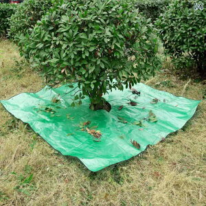 ���| �n? �����Y ���f�B�[�X �v���X�`�b�N �� 2*2m 30cm 2*2m 60cm