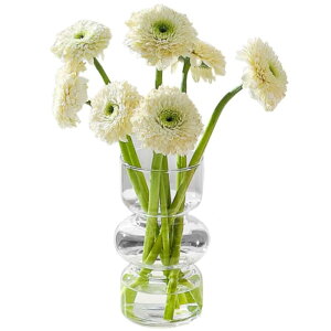 VIVIJOIE �ԕr �K���X ���� ������� �t�����[�x�[�X �k�� �؍� �C���e���A ��֑}�� �����L�� ���� �V���v�� �C���e���A �Ԋ�