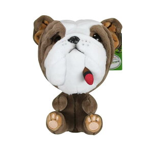 Scott Edward StNuJo[ Ђ̃V[ ʂ Ȃ̃Nuĕی삵܂