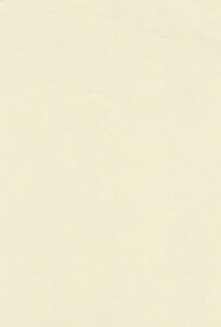 �G�X�P���g �F��p�� A4 �����N���[�� 100�� 211206