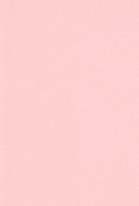 �G�X�P���g �F��p�� A4 �T�[���� 100�� 212706