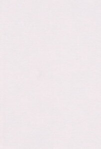 �G�X�P���g �F��p�� A4 �s���N 100�� 213506