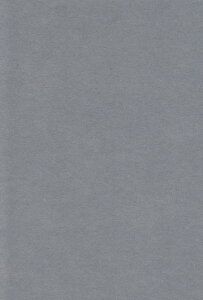 �G�X�P���g �F��p�� A4 ���炢�͂����� 100�� 221906