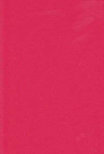 �G�X�P���g �F��p�� A4 ���� 100�� 231706