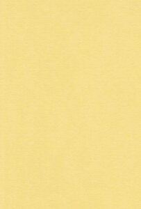 �G�X�P���g �F��p�� A4 ������ 100�� 231906