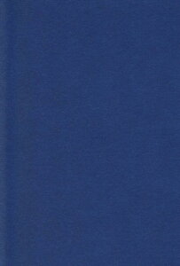 �G�X�P���g �F��p�� A4 ���񂢂� 100�� 233106