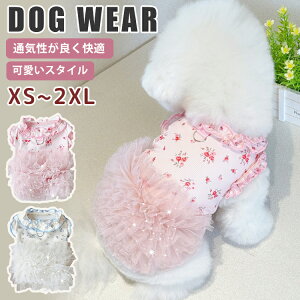  ĕ s[X Ђ  xbh ėp ^ xbh t  hbOEFA hX Vv v`v   o  ₷ Pl vZX t ӂ