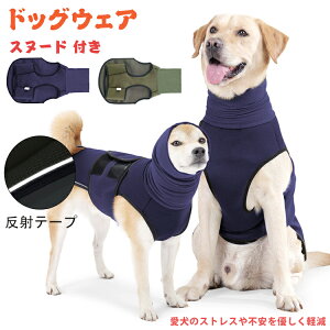   ybg  ~ hbOEFA C[}t Xgb` Xk[h Jo[ S ˃e[vt WPbg xXg bNX ʋC ΍ XgX΍ ی ̎q j̎q 