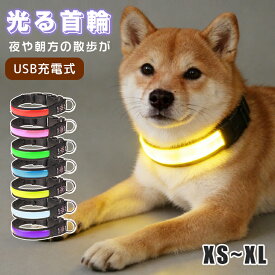 首輪 光る 犬 猫 光る首輪 夜間 発光首輪 綺麗 散歩 LED首輪 犬の首輪 軽量 USB充電 小型犬 中型犬 大型犬 サイズ調整可 LEDライト かわいい 高輝度 LED ペット用 くびわ 夜用 安全 事故防止 迷子防止 おしゃれ ペット用品 ドッググッズ 犬用品 便利 簡単