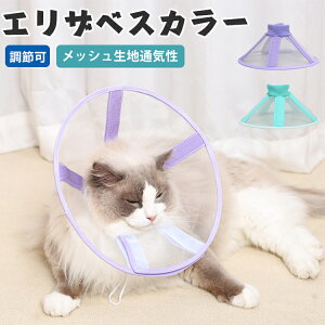 GUxXJ[ L  \tg _炩  h[XgO ybg ybgpi ×p e y pی pi rߖh~ 畆 TCY r h~  ی p 